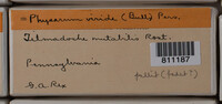 Image Associated With the Occurence